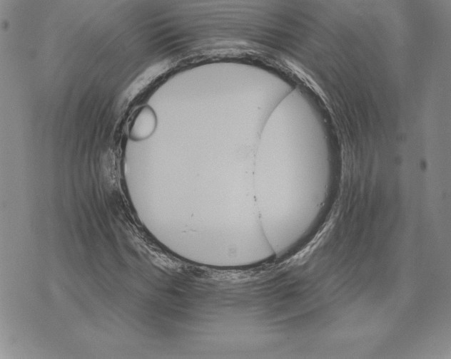 X0000074000970200609111554