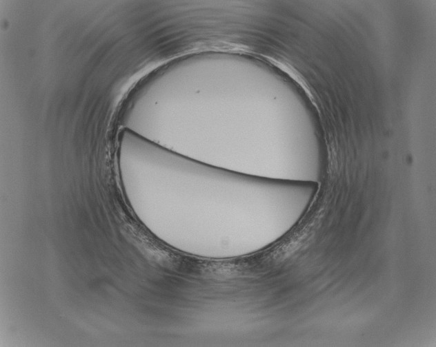 X0000074000971200609111554