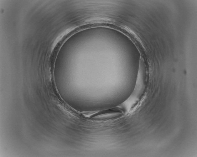 X0000074000973200609111554