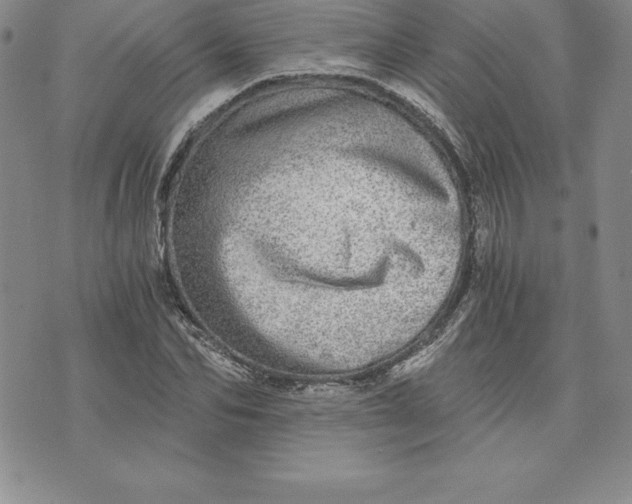 X0000074000974200609111554