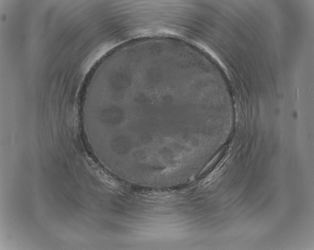 X0000074000975200609111554