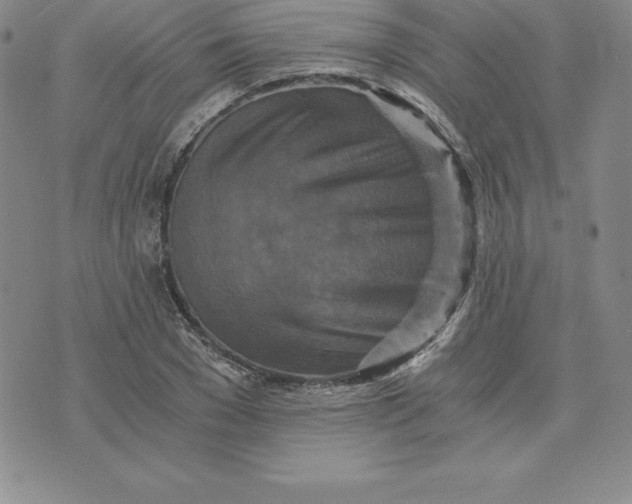 X0000074000977200609111554