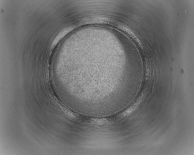 X0000074000978200609111554