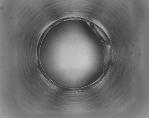 X0000074000980200609111554