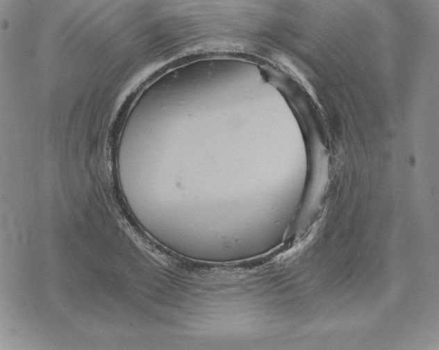 X0000074000981200609111554