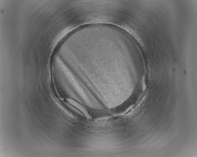 X0000074000982200609111554