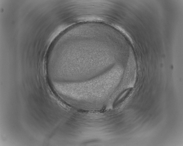 X0000074000983200609111554