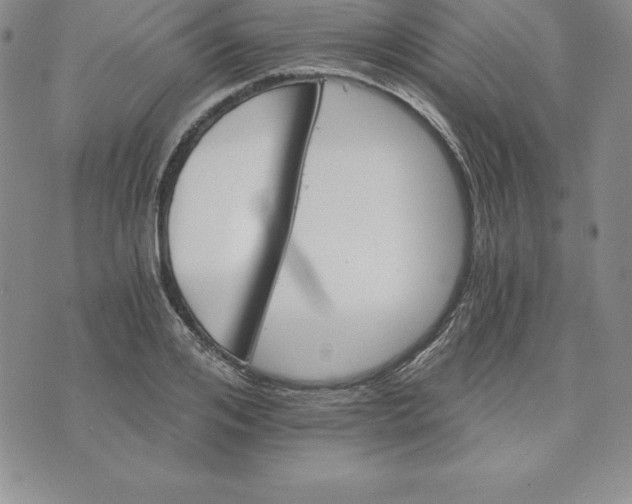 X0000074000984200609111554