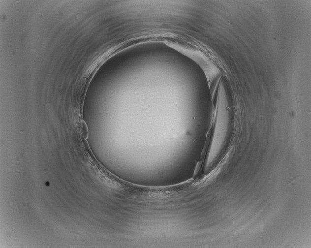 X0000074000985200609111554