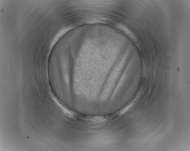 X0000074000986200609111554