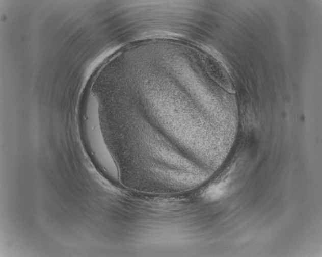 X0000074000987200609111554