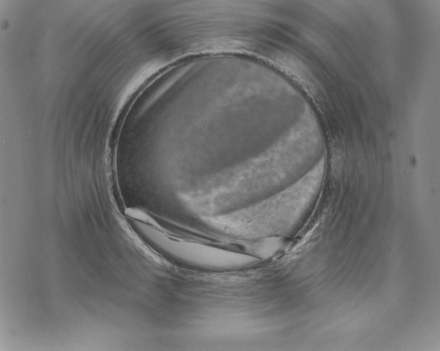 X0000074000990200609111554