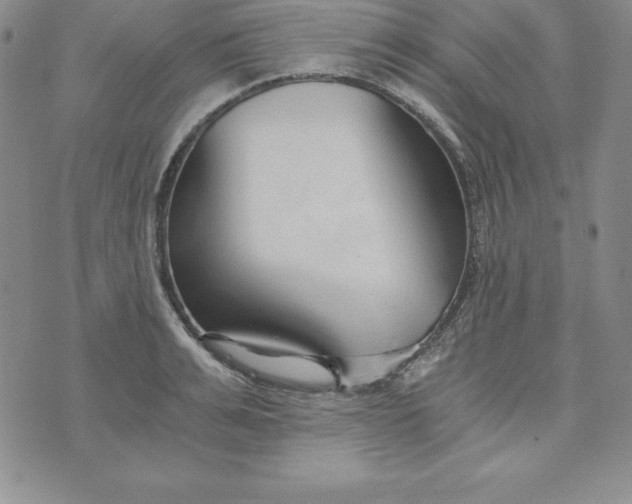 X0000074000991200609111554