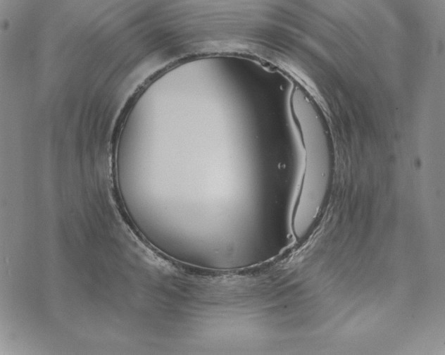 X0000074000992200609111554