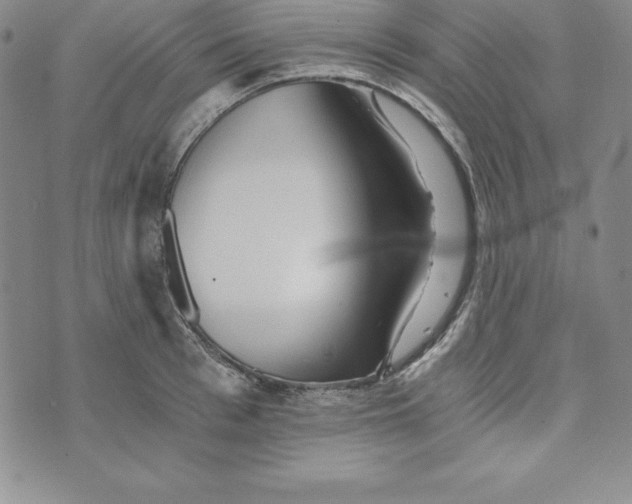 X0000074000993200609111554