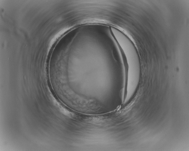 X0000074000995200609111554