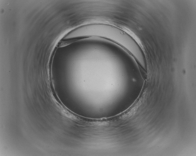 X0000074000996200609111554