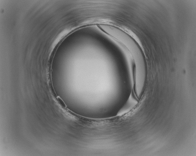 X0000074000997200609111554