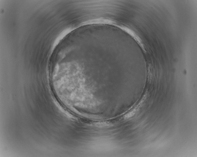 X0000074000998200609111554