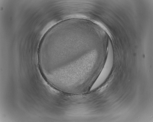 X0000074000999200609111554