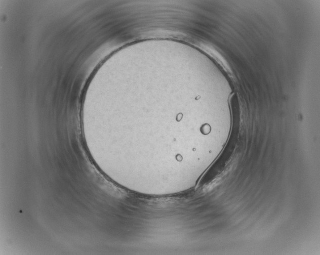 X0000074001000200609111554