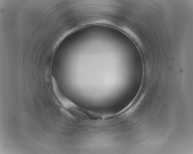 X0000074001001200609111554