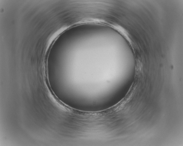 X0000074001003200609111554