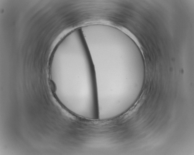 X0000074001005200609111553