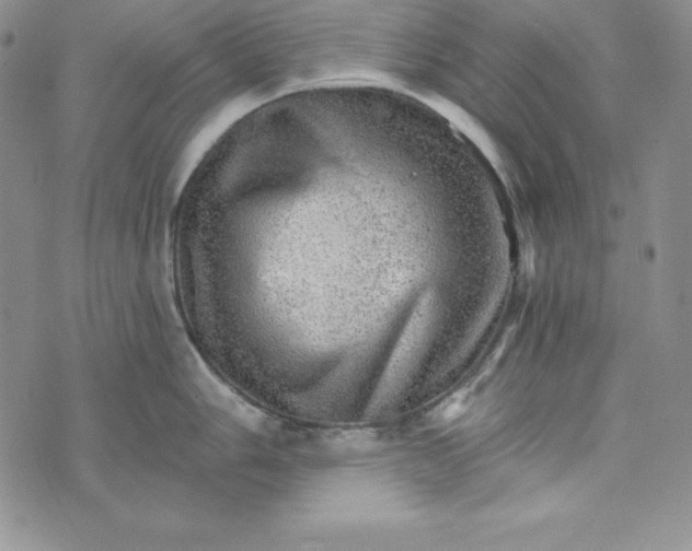 X0000074001006200609111553