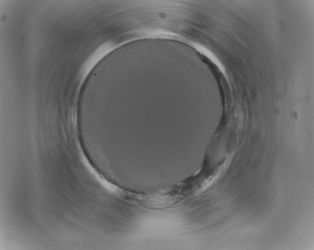 X0000074001007200609111553