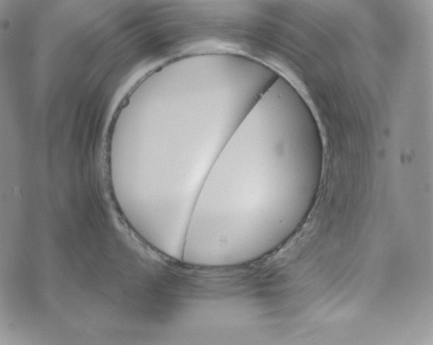 X0000074001008200609111553