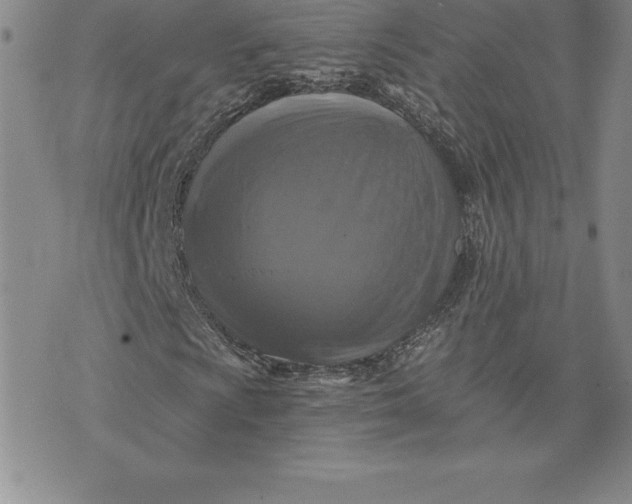 X0000074001009200609111553