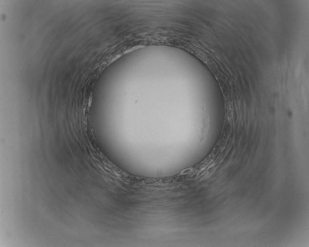 X0000074001010200609111553