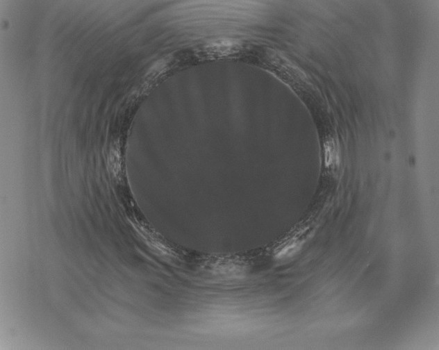 X0000074001011200609111553