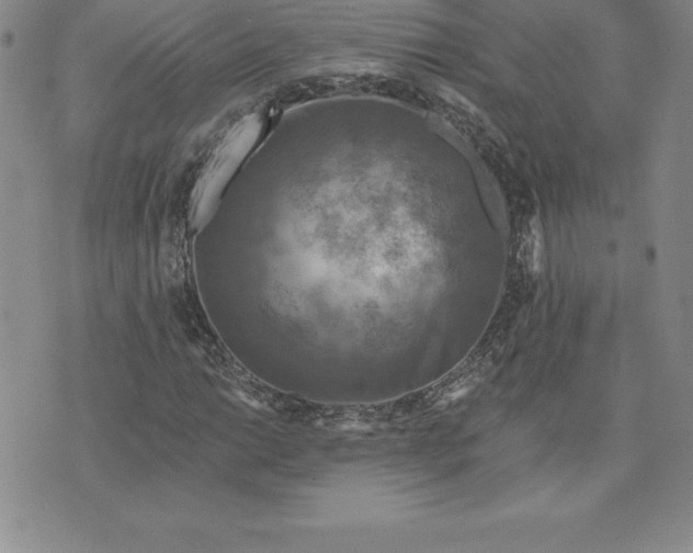 X0000074001014200609111553