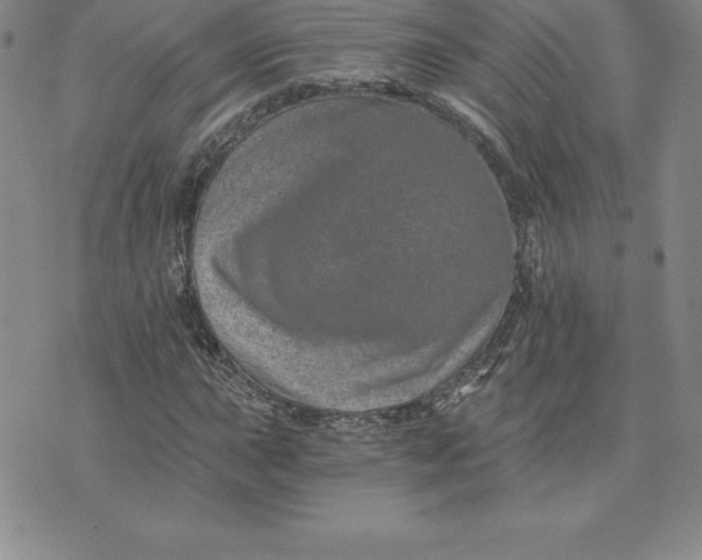 X0000074001015200609111553