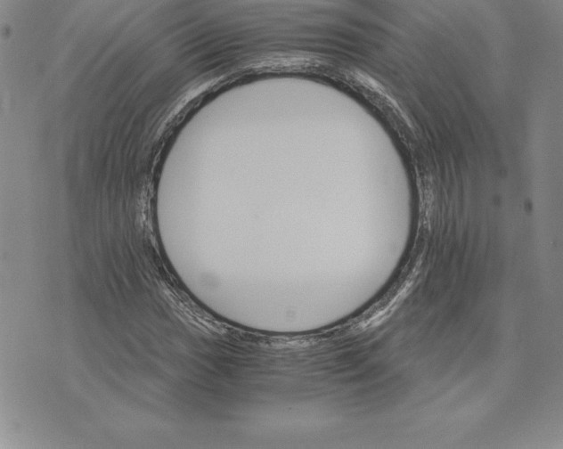 X0000074001017200609111553