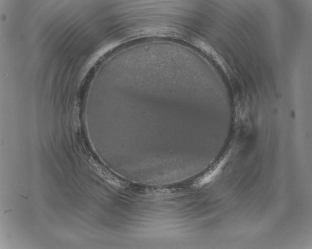 X0000074001019200609111553