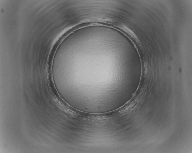 X0000074001020200609111553