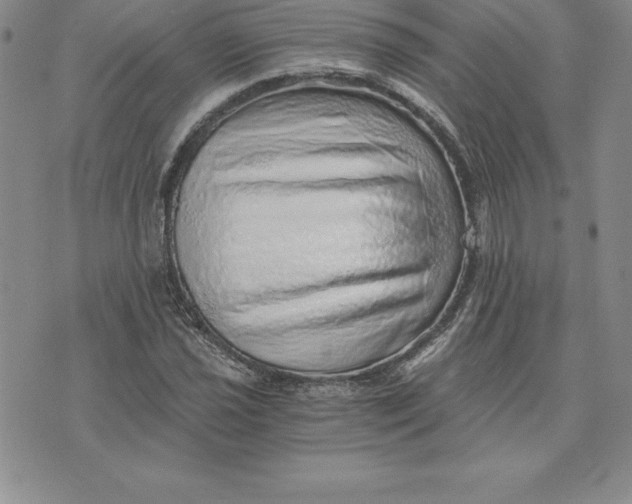 X0000074001021200609111553