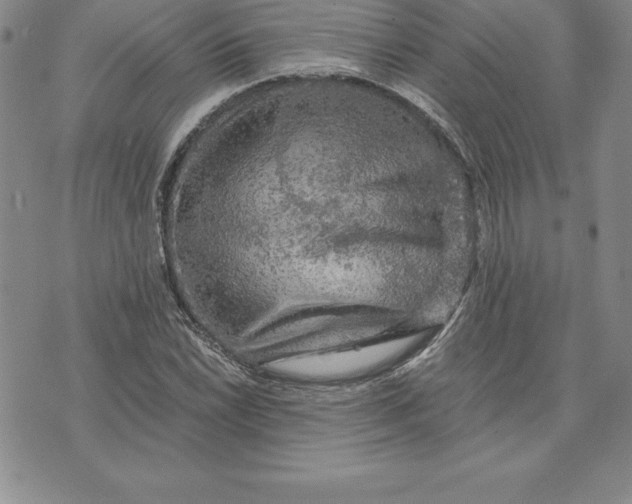 X0000074001022200609111553