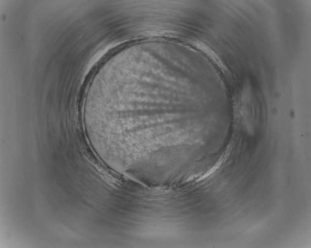 X0000074001023200609111553