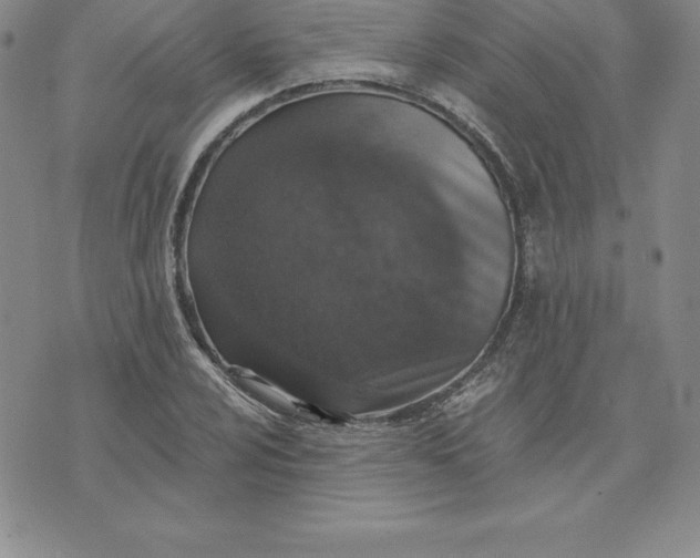 X0000074001024200609111553