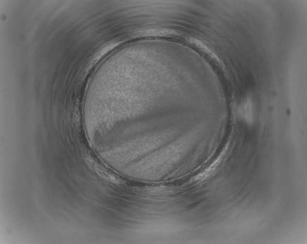 X0000074001025200609111553