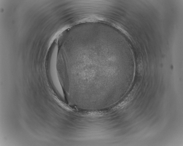 X0000074001026200609111553