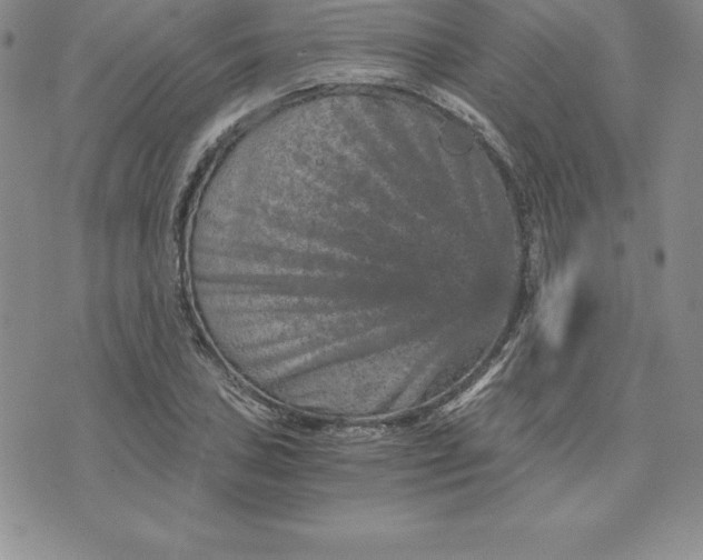 X0000074001027200609111553