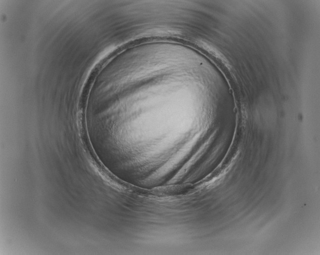 X0000074001029200609111553