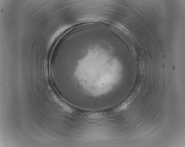 X0000074001030200609111553