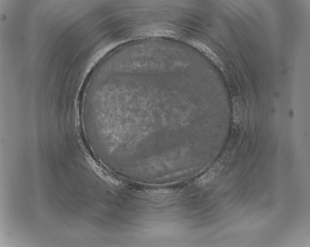 X0000074001031200609111553