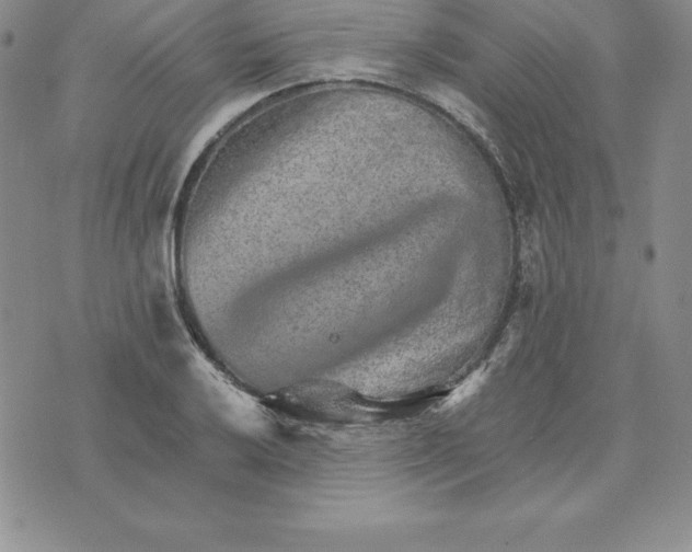 X0000074001032200609111553